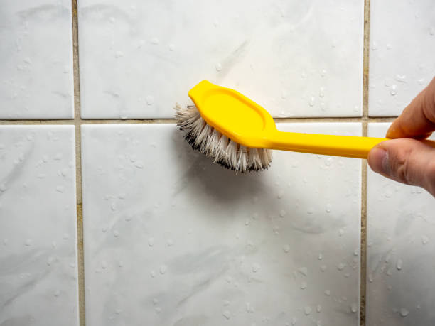 Best Residential Mold Remediation in Glencoe, IL