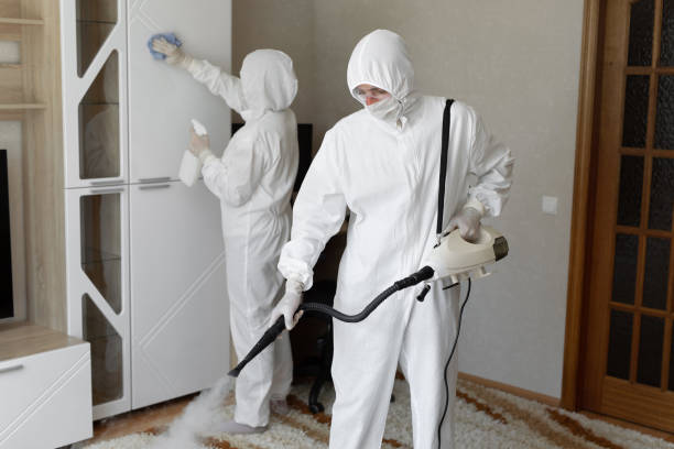 Best Attic Mold Remediation in Glencoe, IL