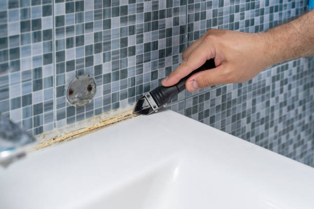 Best Mold Remediation for Specific Building Types in Glencoe, IL